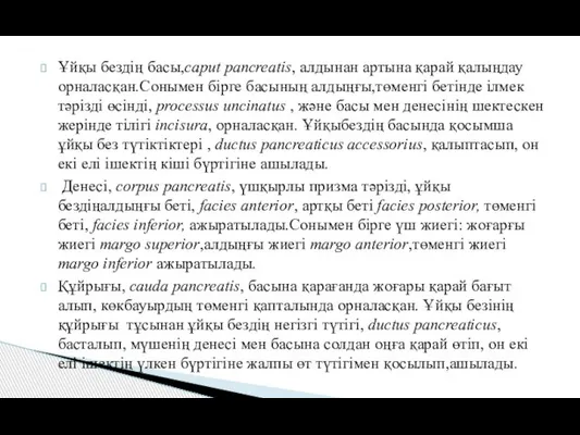 Ұйқы бездің басы,caput pancreatis, алдынан артына қарай қалыңдау орналасқан.Сонымен бірге басының