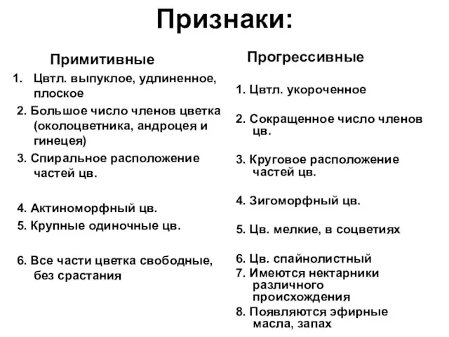 Признаки: Примитивные Цвтл. выпуклое, удлиненное,плоское 2. Большое число членов цветка (околоцветника,