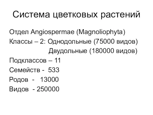 Система цветковых растений Отдел Angiospermae (Magnoliophyta) Классы – 2: Однодольные (75000