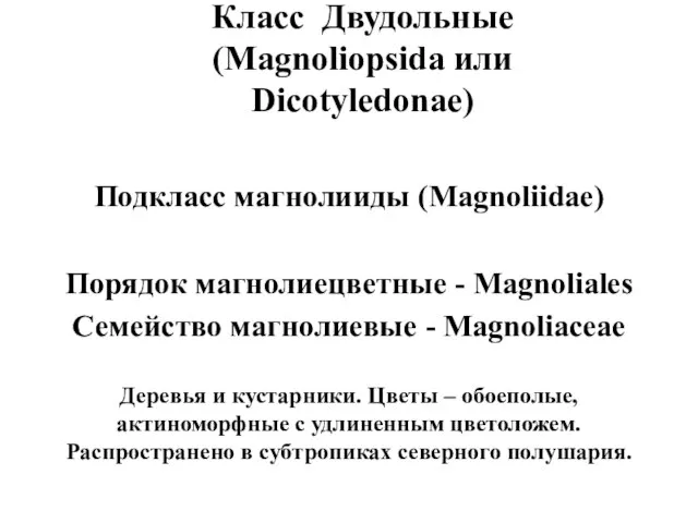 Класс Двудольные (Маgnoliopsida или Dicotyledonae) Подкласс магнолииды (Magnoliidae) Порядок магнолиецветные -