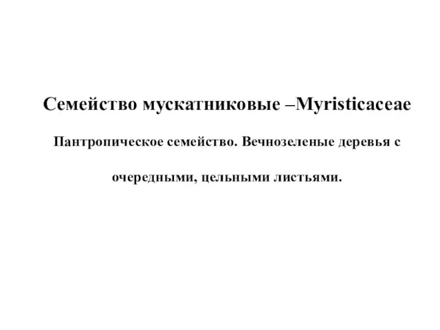 Семейство мускатниковые –Myristicaceae Пантропическое семейство. Вечнозеленые деревья с очередными, цельными листьями.