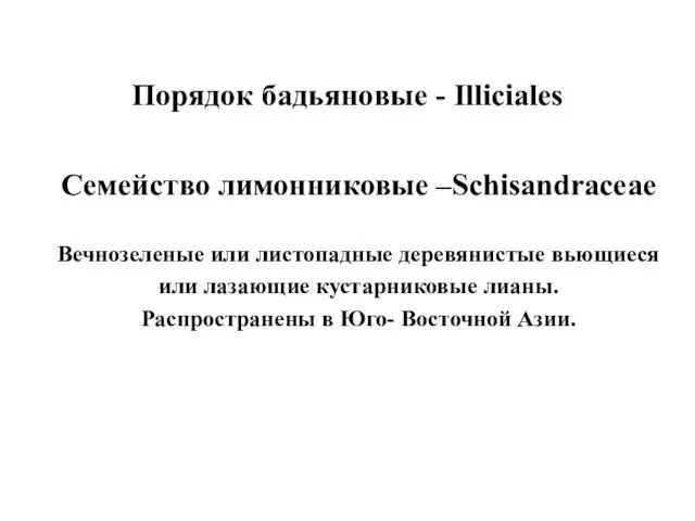 Порядок бадьяновые - Illiciales Семейство лимонниковые –Schisandraceae Вечнозеленые или листопадные деревянистые