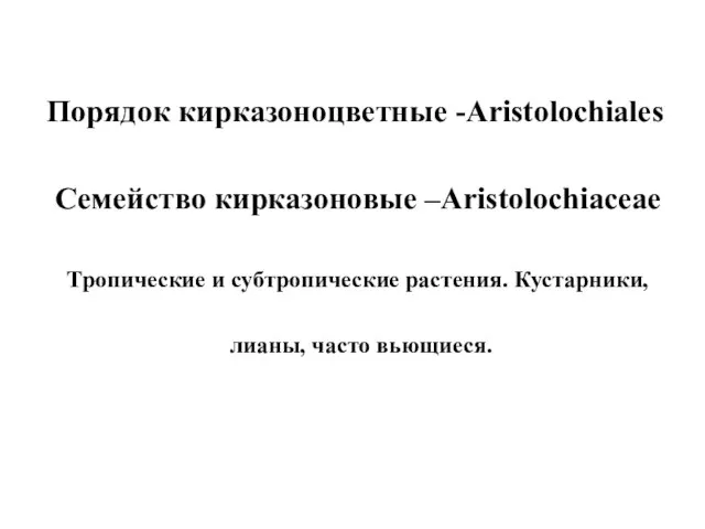 Порядок кирказоноцветные -Aristolochiales Семейство кирказоновые –Aristolochiaceae Тропические и субтропические растения. Кустарники, лианы, часто вьющиеся.