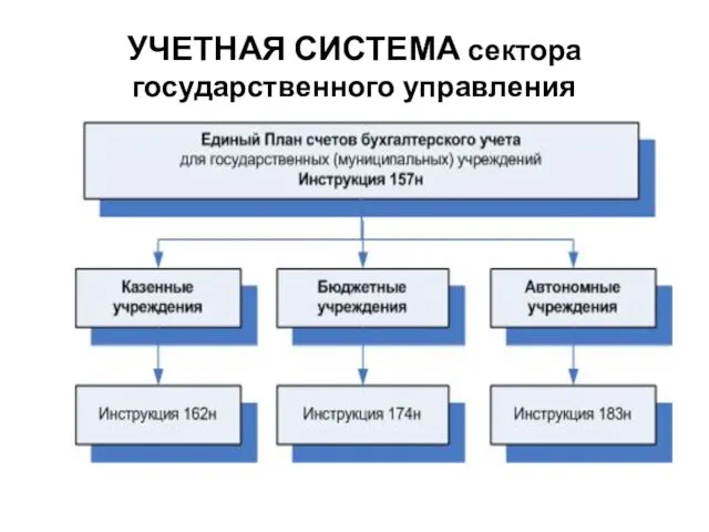 УЧЕТНАЯ СИСТЕМА сектора государственного управления