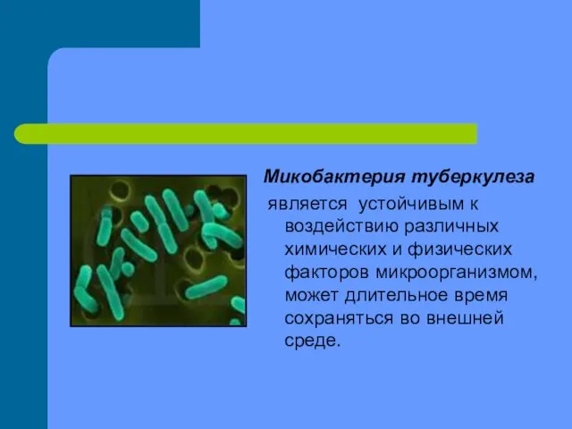 Микобактерия туберкулеза является устойчивым к воздействию различных химических и физических факторов