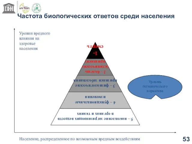 Частота биологических ответов среди населения Уровни вредного влияния на здоровье населения