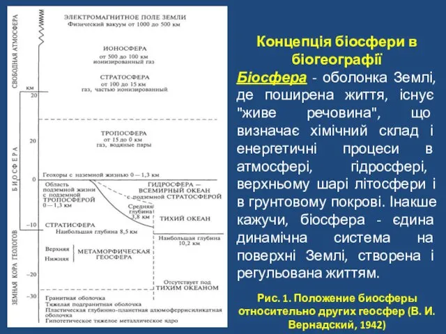 Рис. 1. Положение биосферы относительно других геосфер (В. И. Вернадский, 1942)