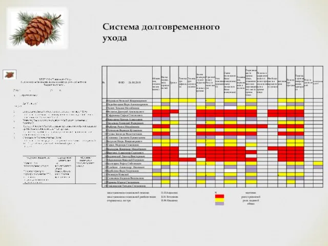 Система долговременного ухода