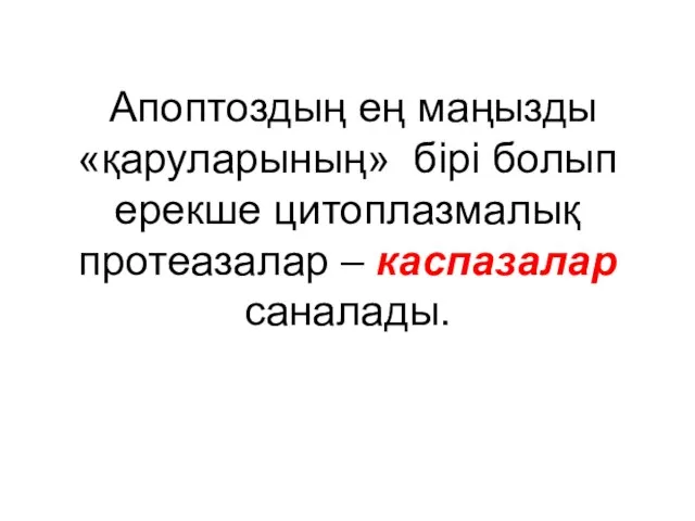 Апоптоздың ең маңызды «қаруларының» бірі болып ерекше цитоплазмалық протеазалар – каспазалар саналады.