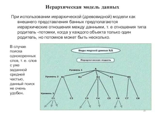 Иерархическая модель данных При использовании иерархической (древовидной) модели как внешнего представления