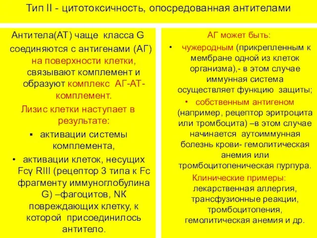 Тип II - цитотоксичность, опосредованная антителами Антитела(АТ) чаще класса G соединяются