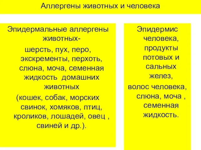 Аллергены животных и человека Эпидермальные аллергены животных- шерсть, пух, перо, экскременты,