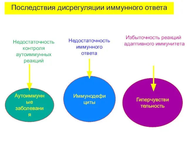 Последствия дисрегуляции иммунного ответа Аутоиммунные заболевания Иммунодефициты Гиперчувстви тельность Недостаточность контроля