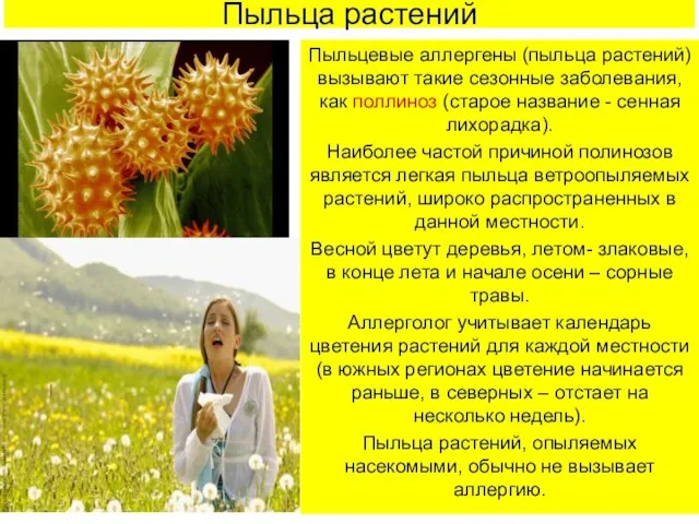 Пыльца растений Пыльцевые аллергены (пыльца растений) вызывают такие сезонные заболевания, как