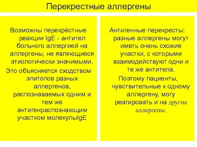 Перекрестные аллергены Возможны перекрёстные реакции IgE - антител больного аллергией на