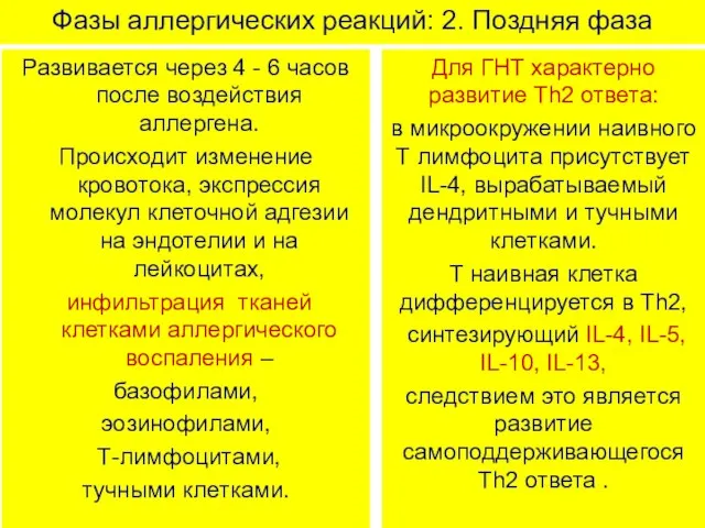 Фазы аллергических реакций: 2. Поздняя фаза Развивается через 4 - 6