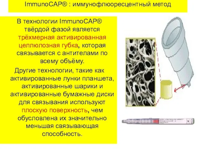 ImmunoCAP® : иммунофлюоресцентный метод В технологии ImmunoCAP® твёрдой фазой является трёхмерная