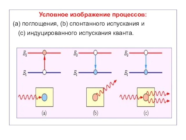 Условное изображение процессов: (a) поглощения, (b) спонтанного испускания и (c) индуцированного испускания кванта.