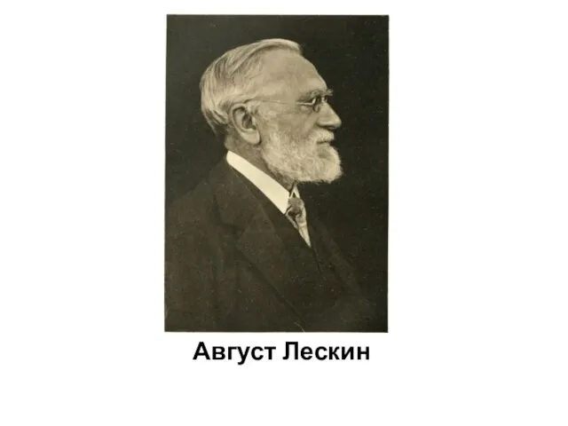 Август Лескин