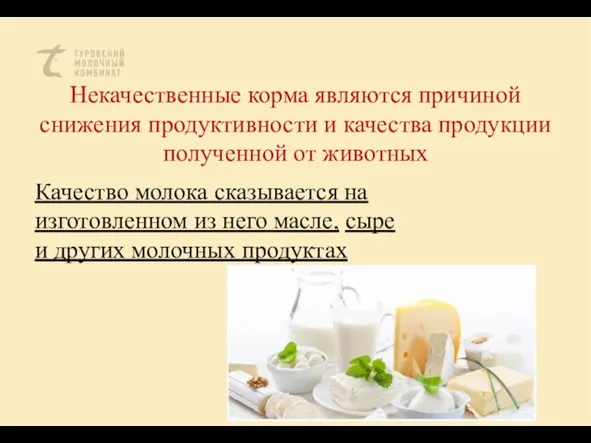 Некачественные корма являются причиной снижения продуктивности и качества продукции полученной от