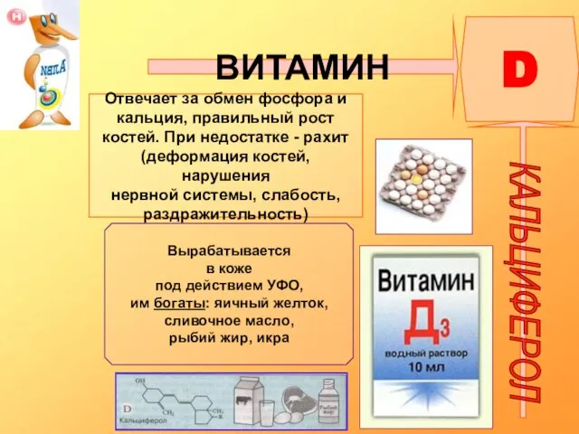 ВИТАМИН D КАЛЬЦИФЕРОЛ Отвечает за обмен фосфора и кальция, правильный рост