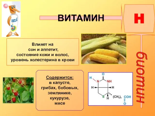 ВИТАМИН H биотин Влияет на сон и аппетит, состояние кожи и