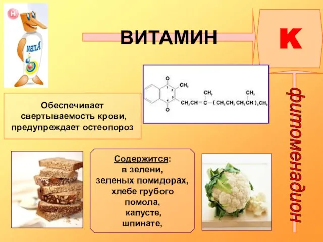 ВИТАМИН K Обеспечивает свертываемость крови, предупреждает остеопороз Содержится: в зелени, зеленых