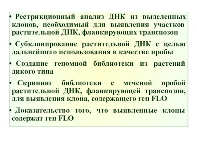 Рестрикционный анализ ДНК из выделенных клонов, необходимый для выявления участков растительной