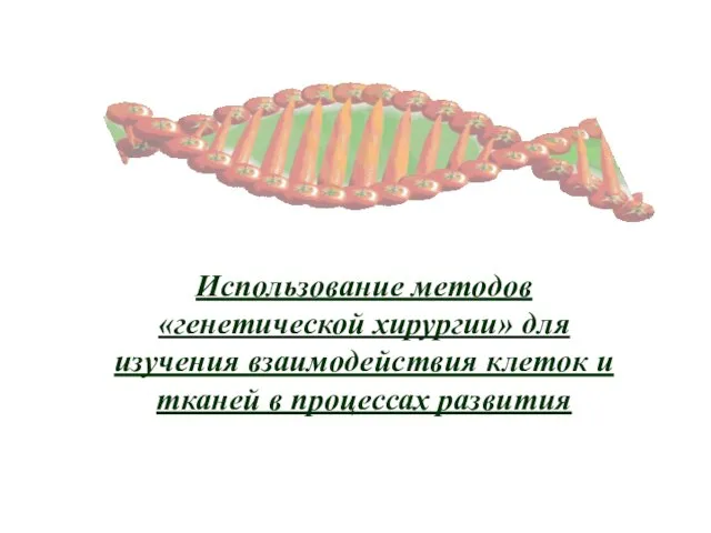 Использование методов «генетической хирургии» для изучения взаимодействия клеток и тканей в процессах развития