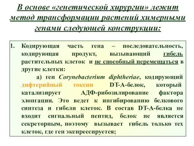 В основе «генетической хирургии» лежит метод трансформации растений химерными генами следующей