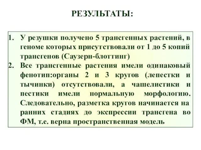 У резушки получено 5 трансгенных растений, в геноме которых присутствовали от