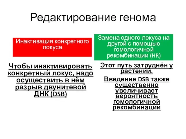 Редактирование генома Инактивация конкретного локуса Замена одного локуса на другой с