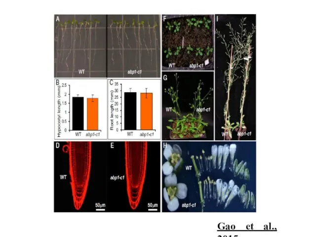 Gao et al., 2015