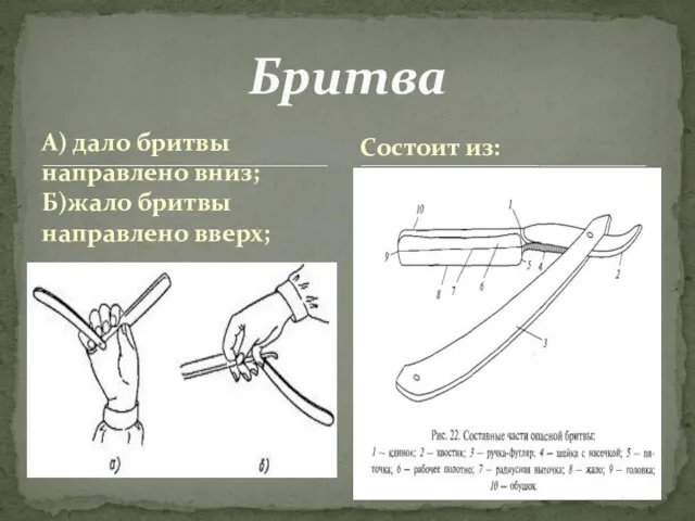 А) дало бритвы направлено вниз; Б)жало бритвы направлено вверх; Бритва Состоит из: