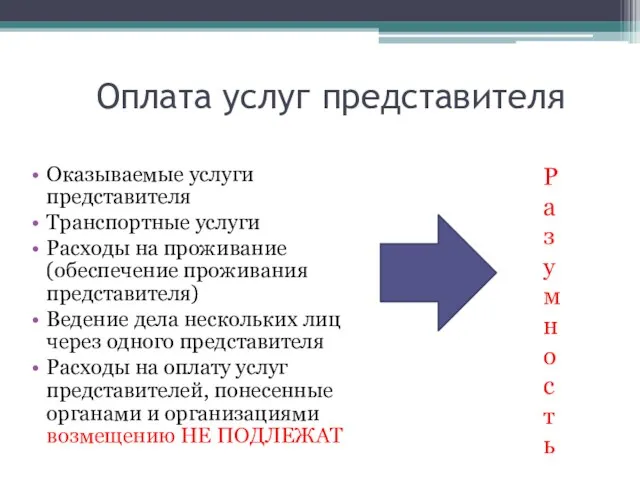 Оплата услуг представителя Оказываемые услуги представителя Транспортные услуги Расходы на проживание