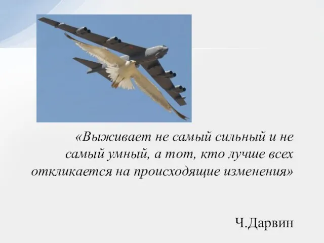 «Выживает не самый сильный и не самый умный, а тот, кто