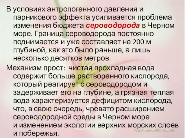 В условиях антропогенного давления и парникового эффекта усиливается проблема изменения бюджета