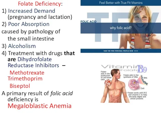 Folate Deficiency: 1) Increased Demand (pregnancy and lactation) 2) Poor Absorption