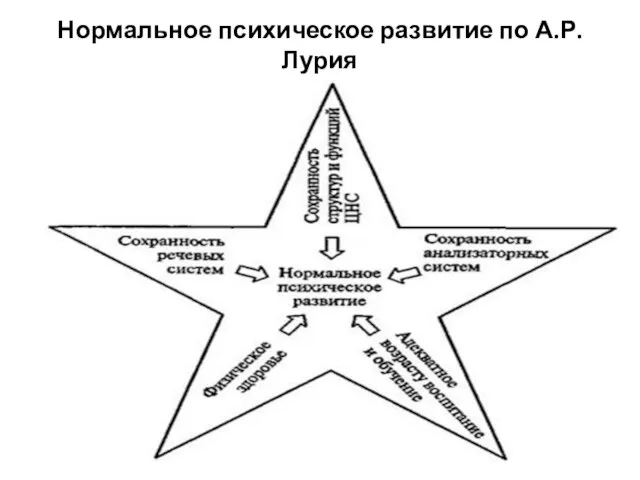 Нормальное психическое развитие по А.Р. Лурия