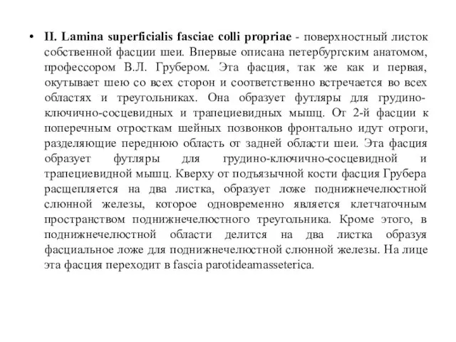 II. Lamina superficialis fasciae colli propriae - поверхностный листок собственной фасции
