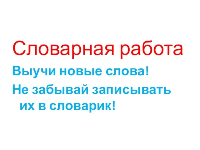 Словарная работа Выучи новые слова! Не забывай записывать их в словарик!