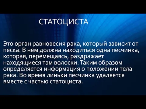 Это орган равновесия рака, который зависит от песка. В нем должна