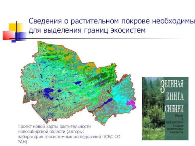 Сведения о растительном покрове необходимы для выделения границ экосистем Проект новой