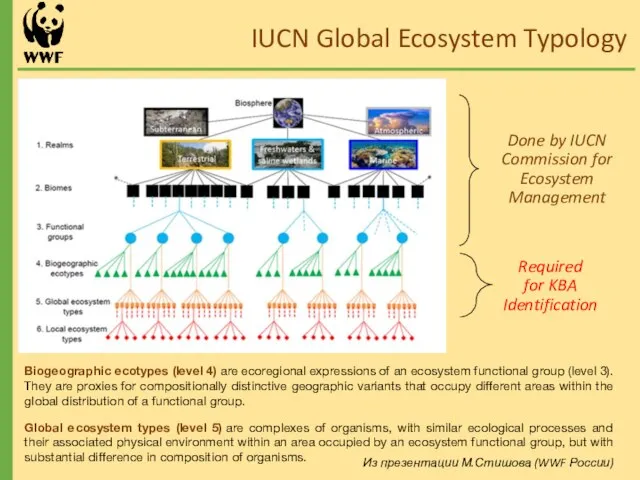 IUCN Global Ecosystem Typology Biogeographic ecotypes (level 4) are ecoregional expressions