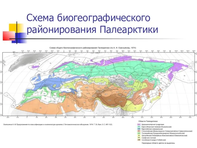 Схема биогеографического районирования Палеарктики