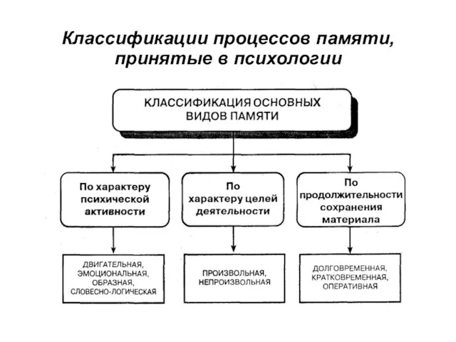 Классификации процессов памяти, принятые в психологии