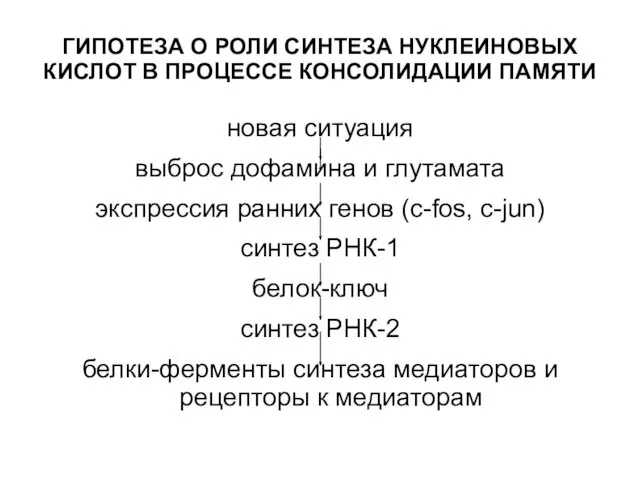 ГИПОТЕЗА О РОЛИ СИНТЕЗА НУКЛЕИНОВЫХ КИСЛОТ В ПРОЦЕССЕ КОНСОЛИДАЦИИ ПАМЯТИ новая