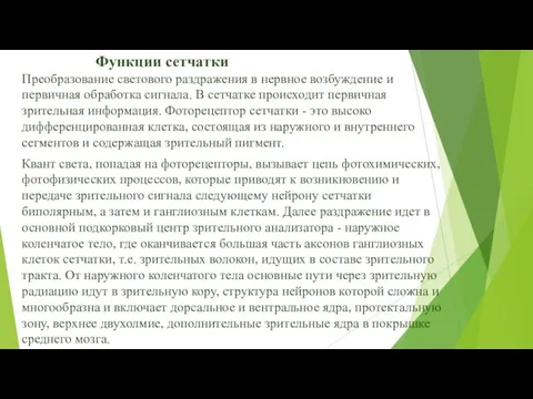 Функции сетчатки Преобразование светового раздражения в нервное возбуждение и первичная обработка