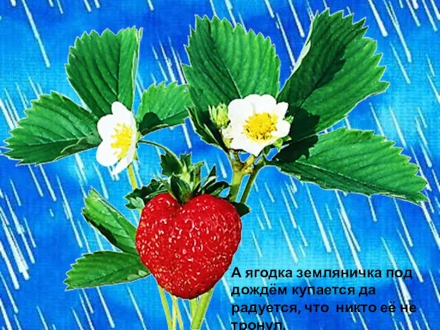 А ягодка земляничка под дождём купается да радуется, что никто её не тронул.