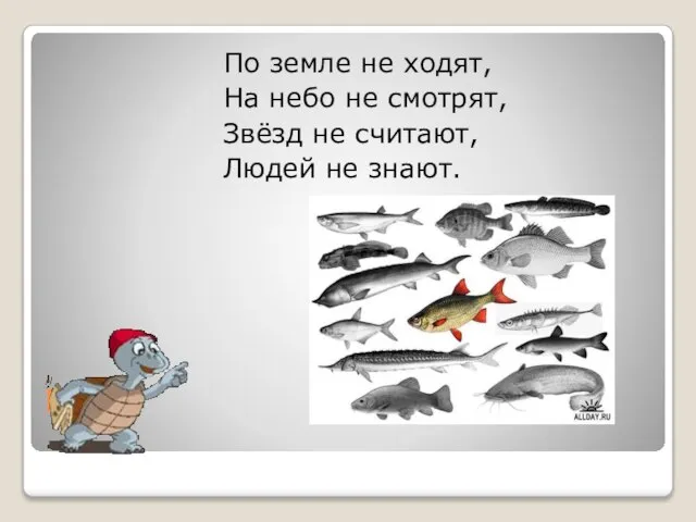 Ют, По земле не ходят, На небо не смотрят, Звёзд не считают, Людей не знают.